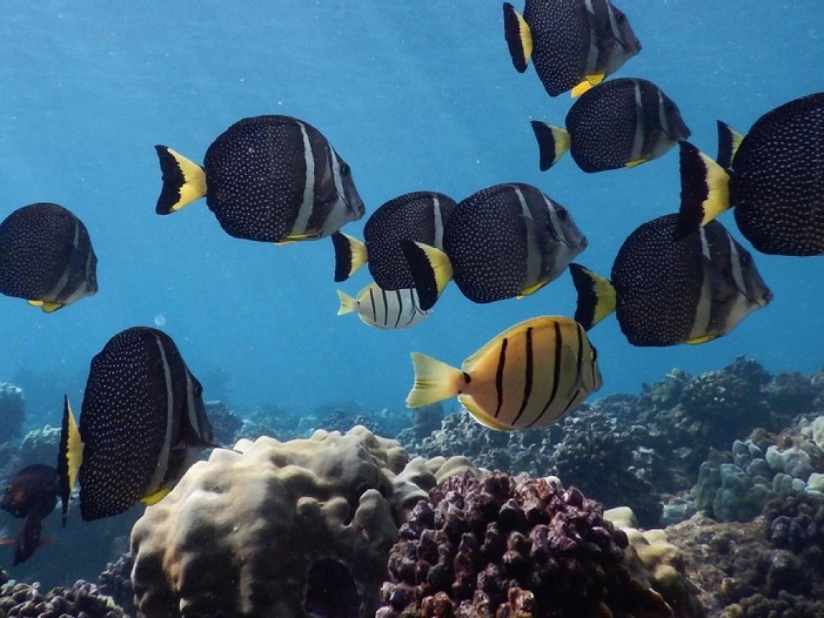 a close up of a traffic light sitting next to a birthday cake